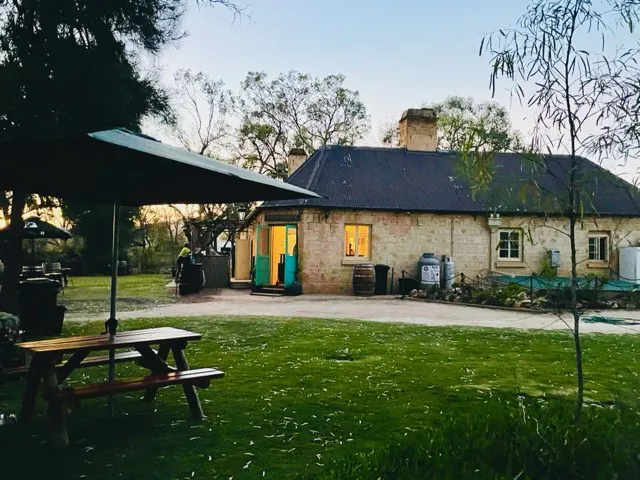 The garden at dusk